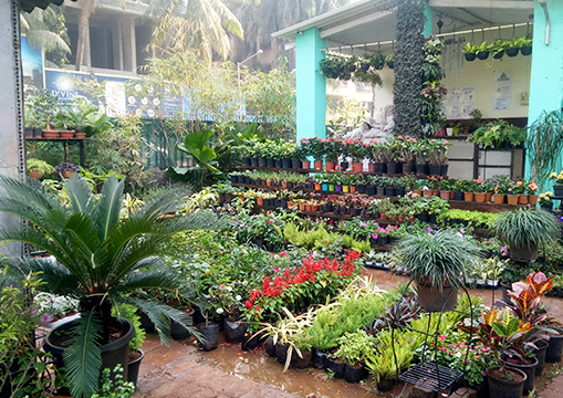 Garden Centre