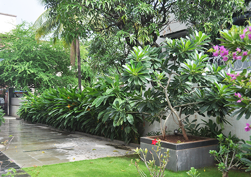 Landscape Development