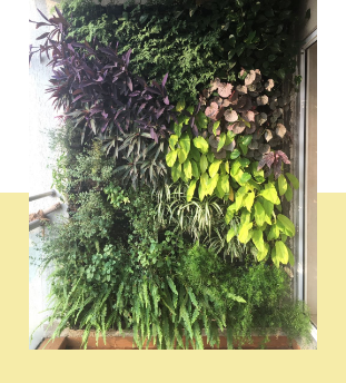 Design Installation & Maintainence